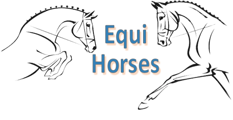Equi-Horses